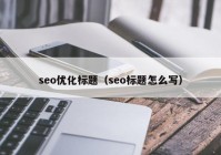 seo优化标题（seo标题怎么写）